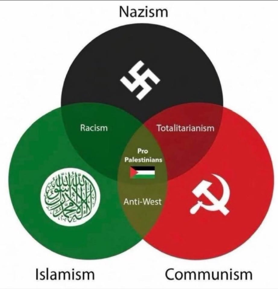 1787139870316.png